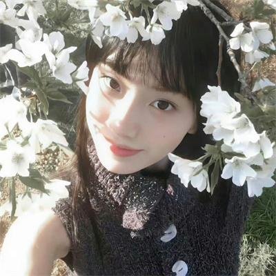 关于我家的一切